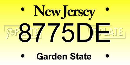 8775DE New Jersey License Plate