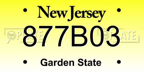 877B03 New Jersey License Plate