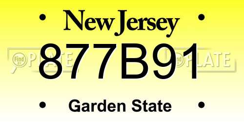 877B91 New Jersey License Plate