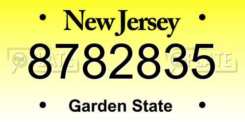 8782835 New Jersey License Plate