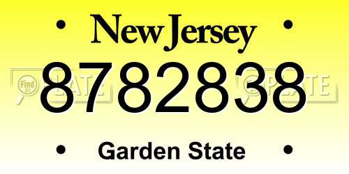 8782838 New Jersey License Plate