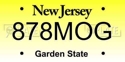 878MOG New Jersey License Plate