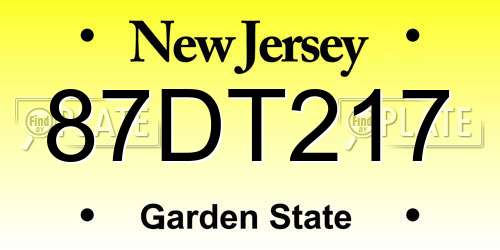 87DT217 New Jersey License Plate