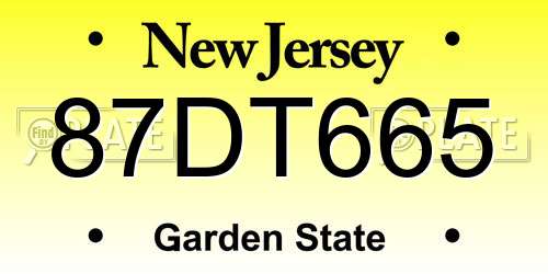 87DT665 New Jersey License Plate