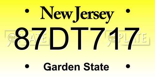 87DT717 New Jersey License Plate