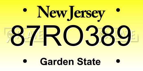87RO389 New Jersey License Plate