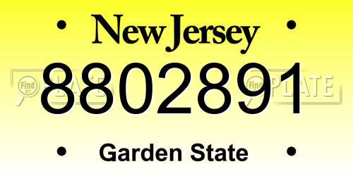 8802891 New Jersey License Plate