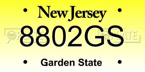 8802GS New Jersey License Plate