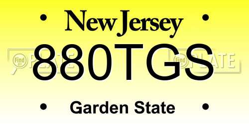880TGS New Jersey License Plate