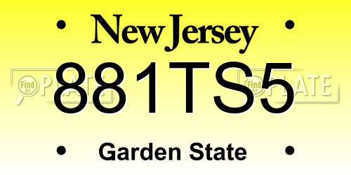 881TS5 New Jersey License Plate