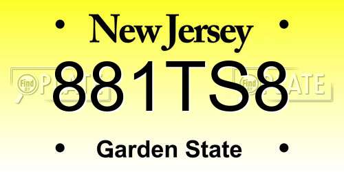 881TS8 New Jersey License Plate