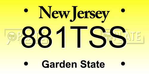 881TSS New Jersey License Plate