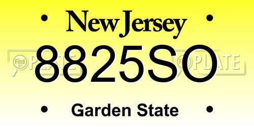 8825SO New Jersey License Plate