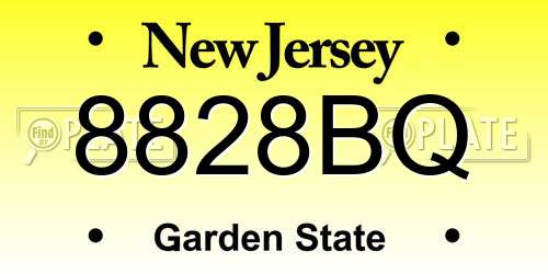 8828BQ New Jersey License Plate