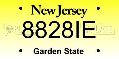 8828IE New Jersey License Plate