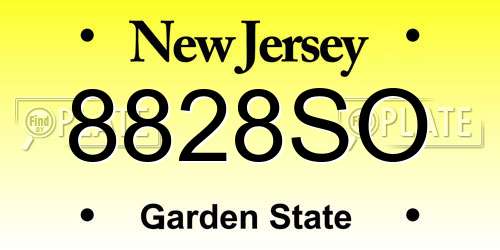 8828SO New Jersey License Plate