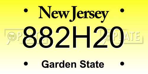 882H20 New Jersey License Plate
