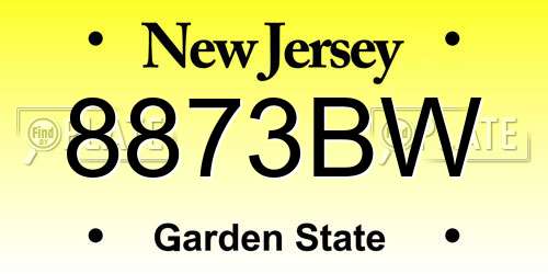 8873BW New Jersey License Plate