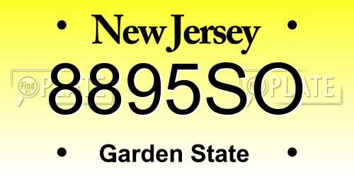 8895SO New Jersey License Plate
