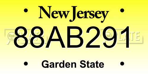 88AB291 New Jersey License Plate