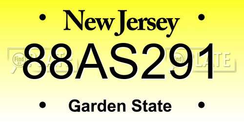 88AS291 New Jersey License Plate