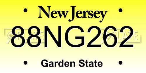 88NG262 New Jersey License Plate