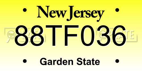 88TF036 New Jersey License Plate