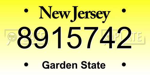 8915742 New Jersey License Plate
