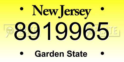 8919965 New Jersey License Plate