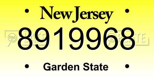 8919968 New Jersey License Plate