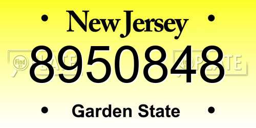 8950848 New Jersey License Plate