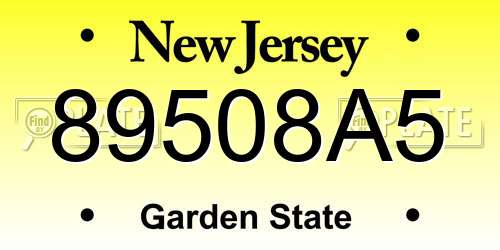 89508A5 New Jersey License Plate