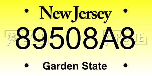 89508A8 New Jersey License Plate