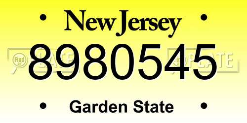 8980545 New Jersey License Plate