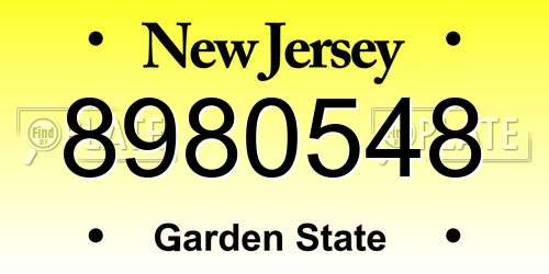 8980548 New Jersey License Plate