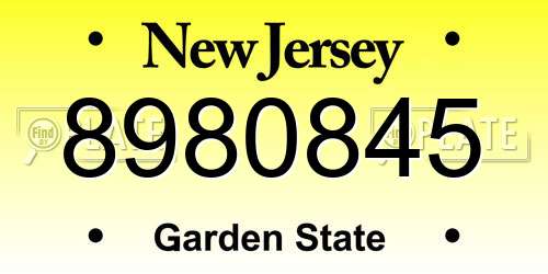 8980845 New Jersey License Plate