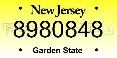 8980848 New Jersey License Plate