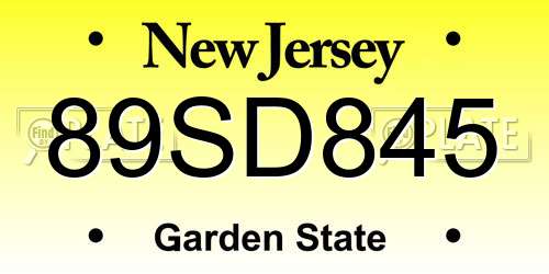 89SD845 New Jersey License Plate