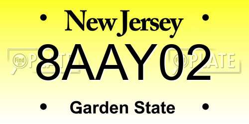 8AAY02 New Jersey License Plate