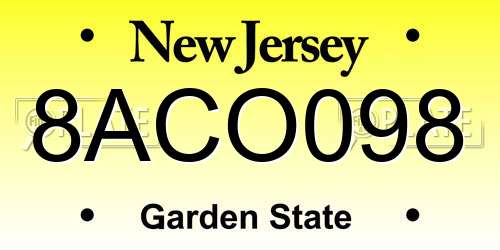 8ACO098 New Jersey License Plate