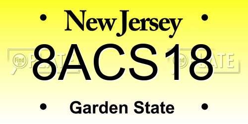 8ACS18 New Jersey License Plate
