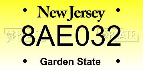 8AE032 New Jersey License Plate