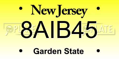 8AIB45 New Jersey License Plate
