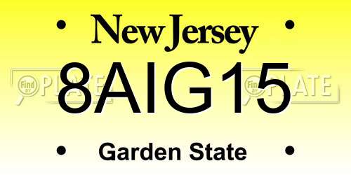 8AIG15 New Jersey License Plate