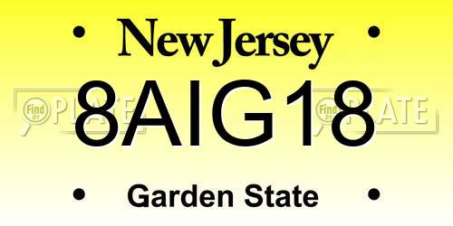 8AIG18 New Jersey License Plate