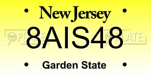 8AIS48 New Jersey License Plate