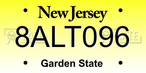 8ALT096 New Jersey License Plate