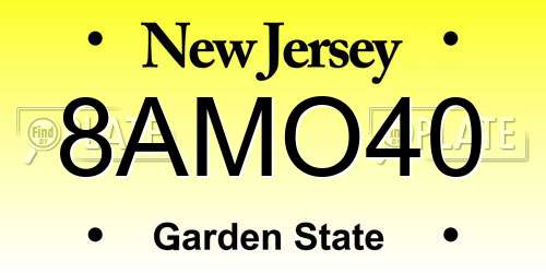 8AMO40 New Jersey License Plate