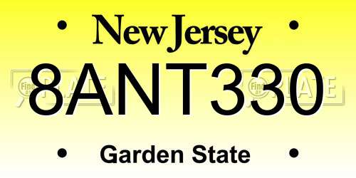 8ANT330 New Jersey License Plate