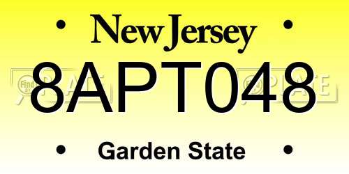 8APT048 New Jersey License Plate